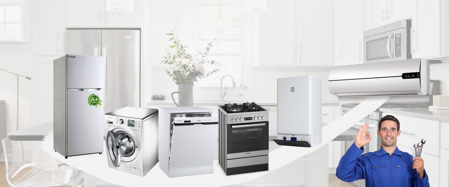 Iğdır Electrolux Servisi